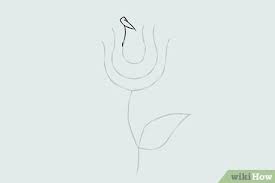 Easiest flower to draw couponhero co. How To Draw A Flower Wikihow