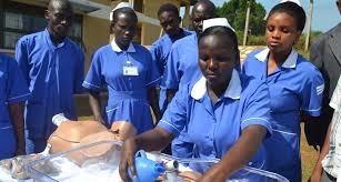 The ministry of education and sports of the republic of uganda. Afidep Helping Chart A Shared Vision For Uganda S Nursing Education African Institute For Development Policy Afidep
