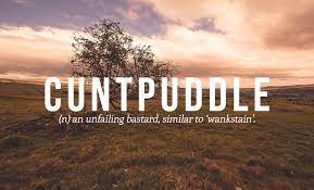 18 Very Sweary British Words You Need To Use Right Now Funny Words British Insults Words