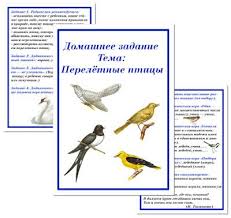 дидактические игры по развитию связной речи в младшей группе Domashnee Zadanie Dlya Detej Podgotovitelnoj Gruppy Pereletnye Pticy Dlya Detej Deti Prirodovedenie