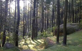 Gunung Pancar Segarnya Wisata Alam Kekinian di Jawa Barat - Jawa Barat