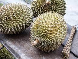 Balik pulau is famous for its durian fruit. Durian Tourism Penang Balik Pulau Durian Package Economy Traveller
