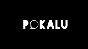 0 contributions in the last year. Pokalu Photos Facebook