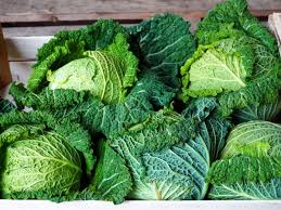 Image result for hlávková kapusta