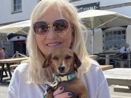 All Miniature Long Haired Dachshund Breeders