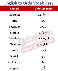 250 English Words With Urdu Meanings Pdf Englishan Vocabulary Words New Vocabulary Words Good Vocabulary Words