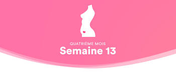 1 les jours de la semaine. 13e Semaine D Amenorrhee Mere Abdomen Le Bebe Pendant La Semaine 13