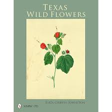 Ozark Wild Flowers: Edith Lancaster Huey: Amazon.com: Books