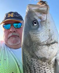 Sea Isle Bait and Tackle (@seaislebait) • Instagram photos and videos