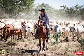 Northern Territory Cattlemen's Association