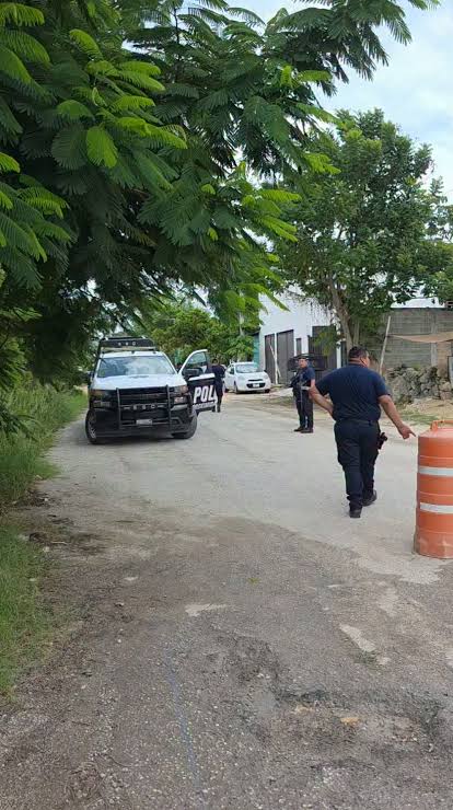 Olores fétidos alertan sobre cuerpo en descomposición en Felipe Carrillo Puerto