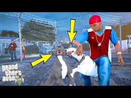 Beyaz Pitbull Jack Ogluyla Kafes Dovusu Yapiyor Gta 5 Youtube
