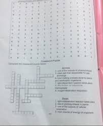 Maybe you would like to learn more about one of these? Additional Activities Word Puzzle That Are Related To Photosynthesis And Cellular Respirationpa Help Brainly Ph