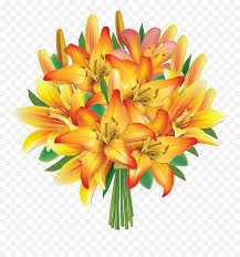 Large collections of hd transparent bunch of flowers png images for free download. Flower Boquet Jpg Free Stock Png Files Cartoon Bunch Of Flowers Free Transparent Png Images Pngaaa Com