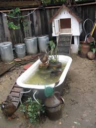 Raised Duck Pond Then Drain The Water To Use In The Garden Description From Pinterest Com I Searched For This On B In 2020 Chickens Backyard Backyard Ducks Duck Pond