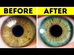pin by janette vetter klubertanz on facts eye color facts change your eye color eye color change