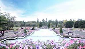 Dengan membayar biaya tiket masuk tersebut, wisatawan bebas menikmati setiap sudut di area taman yang menarik ini. Harga Tiket Masuk Taman Bunga Nusantara Wahana Mei 2021