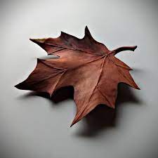 The Red Maple Wood Sculpture Maple Leaf Sculpted From Cedar Wood Wood Wall Art Art Decor Wall Decor Living Room Decor Office Decor Wood Sculpture Simple Wood Carving Sculpture