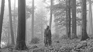 Shortly after announcing the release of her eighth album folklore, the singer dropped a video for a new song called cardigan on thursday night. Taylor Swift To Release New Album Folklore Written During Lockdown Ents Arts News Sky News