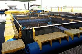 Keramba Jaring Apung Buatan Bandung Barat Tembus Pasar Dunia Halaman All Kompas Com