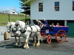 These luxury horse carriage are professional and fast. The Carriage House Bay Of Islandsi Boutique Apartment Updated 2021 Tripadvisor Kerikeri Vacation Rental