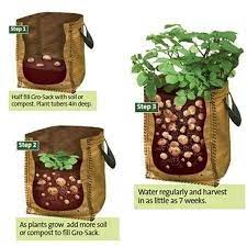 Potato Grow Pe Container Bag Pouch Tomato Vegatables Garden Outdoor In 2021 Plants Growing Potatoes Growing Vegetables