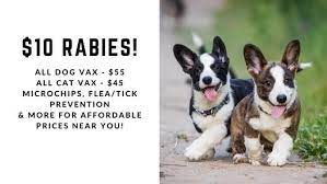 For more information on vaccination fees and a list of full services available, please contact low cost. San Antonio Low Cost Pet Shots Marbach Pep Boys Auto Service Tire San Antonio 13 March 2021