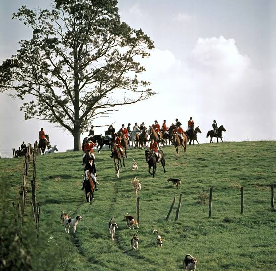 Foxhunting | History, Rules & Traditions | Britannica