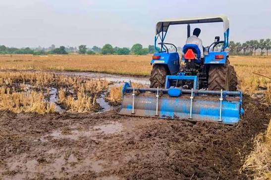 LEMKEN 6 Feet Kyanite DX-185