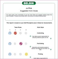 The Nine Team Roles Belbin Ireland