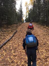 This massive park boasts amenities families will love such as. Hiking With Kids In Colorado Springs Colorado Real Estate