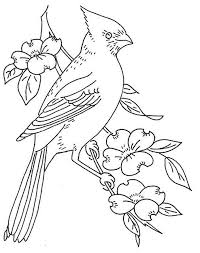Donate today and help bring forward the d. 26 Best Ideas For Coloring Cardinal Coloring Pages For Adults