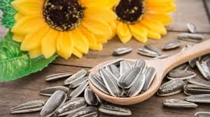 These lovely flowers have lasting qualities, and are often handed out on mother's day to symbolize the purity and strength of motherhood. Ini 9 Khasiat Makan Kuaci Yang Tak Banyak Diketahui