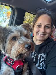 Breeding teacup Yorkshire terrier, health considerations and  responsibilities