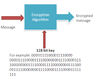 Image result for which of the following encryption algorithm uses a 128-bit key size? course hero