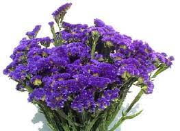Lavender floral bouquets are not only a symbol of admiration, but they are one of our most popular flower colors. Statice Purple Flowers Wholesale Flowers Small White Flowers