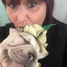 How long does the home daycare license change of address process take?