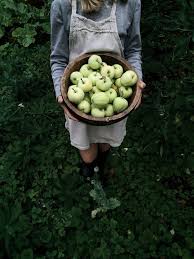 Love These Foraged Apples In A Basket Summer Healthy Garden Green Aesthetic Summer Garden