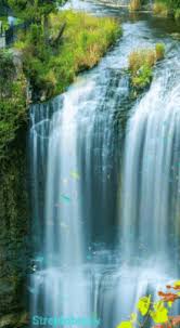 Show us your best photos about nature, and share them in our pool! Beautiful Animated Pictures Of Nature Gifs Tenor