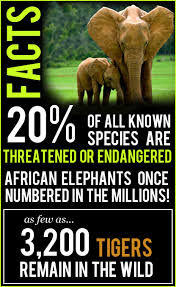 Pin By Leslie Rewald On Just The Facts Wildlife Conservation Conservation Animal Conservation
