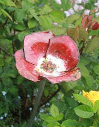 Keramik Tonfigur Garten Rote Tonblume Mira Keramik Blumen Tonblumen Garten