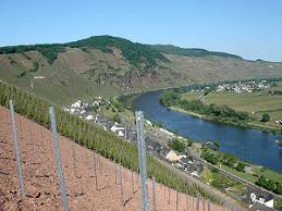 Das war der graf von rüdesheim, mit gütern reich beglückt, der hat des winzers holder maid zu tief ins aug' geblickt. Wikizero German Wine