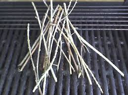 Image result for grapevine cuttings