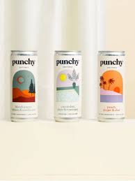 نتیجه جستجوی لغت [punchy] در گوگل