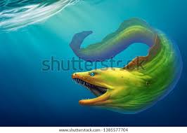 Moray Eel Green Una Gran Anguila Ilustracion De Stock 1385577704 Shutterstock