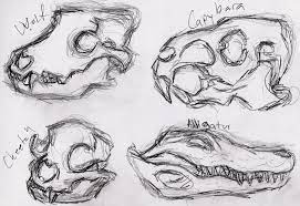 Maybe you would like to learn more about one of these? Animal Skulls 2 By Windymon On Deviantart