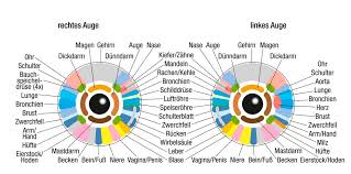 Das Auge Mehr Als Der Sitz Der Seele Dies Sagt Deine Iris Uber Dich Aus Bewusst Vegan Froh
