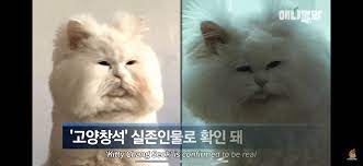 성별 선택 암,수 모두있는곳 남아만 있는곳 여아만 있는곳. Img Theqoo Net Img Eyzmd Png