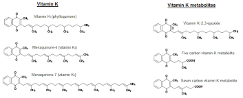 Vitamin k is an essential bioactive compound required for optimal body function. Https Www Efsa Europa Eu Sites Default Files Consultation 170113 Pdf