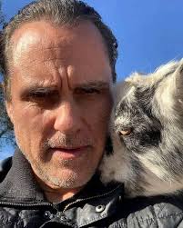 caution around hyacinth's house at night